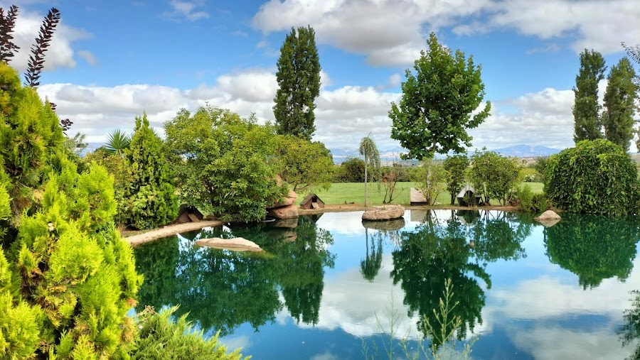 El Huerto de Toni - Finca Los Carros