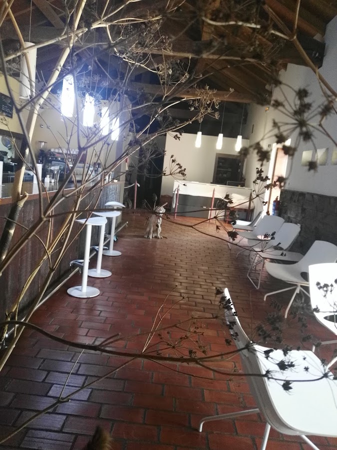 Hotel Restaurante Carrecalzada