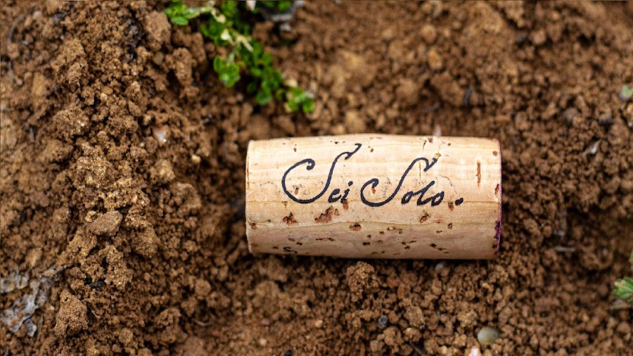 SEI SOLO BODEGAS Y VIÑEDOS