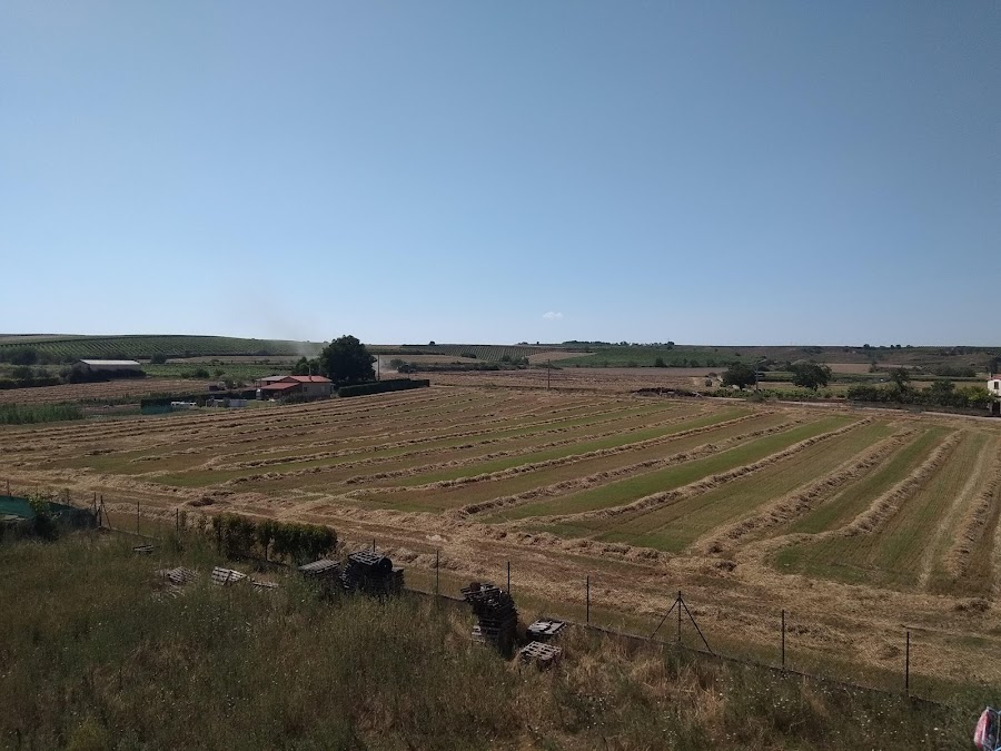 Bar - Cafetería, Piscinas Municipales de Alesanco