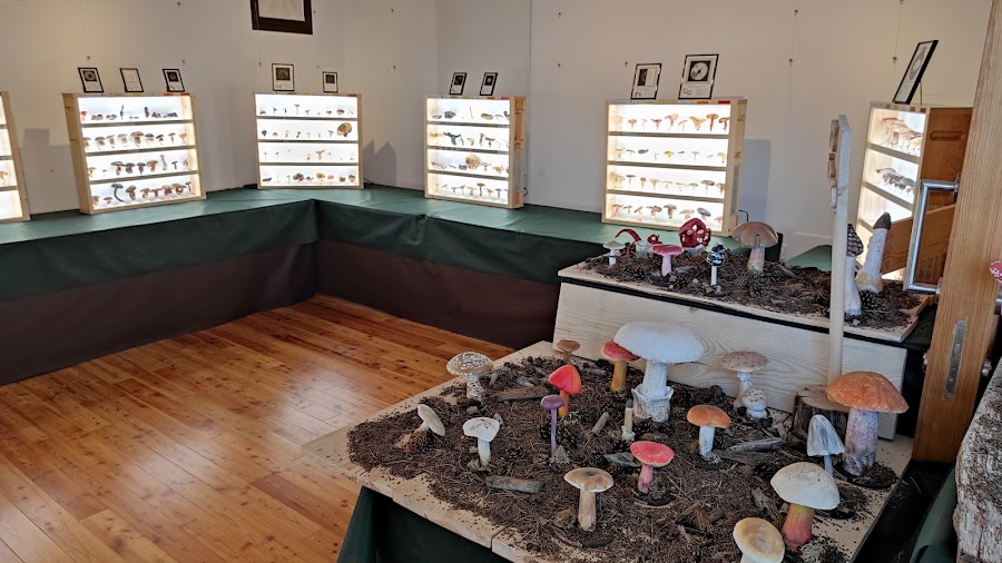 Bar - Salón Social “Las Escuelas”