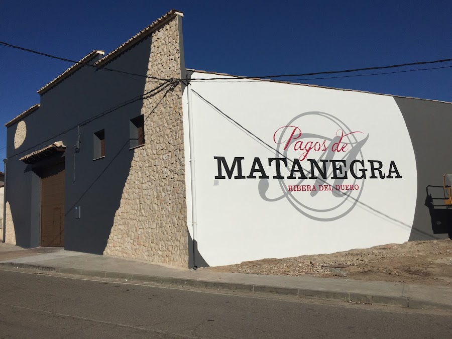 Bodega Pagos de Matanegra - Ribera del Duero