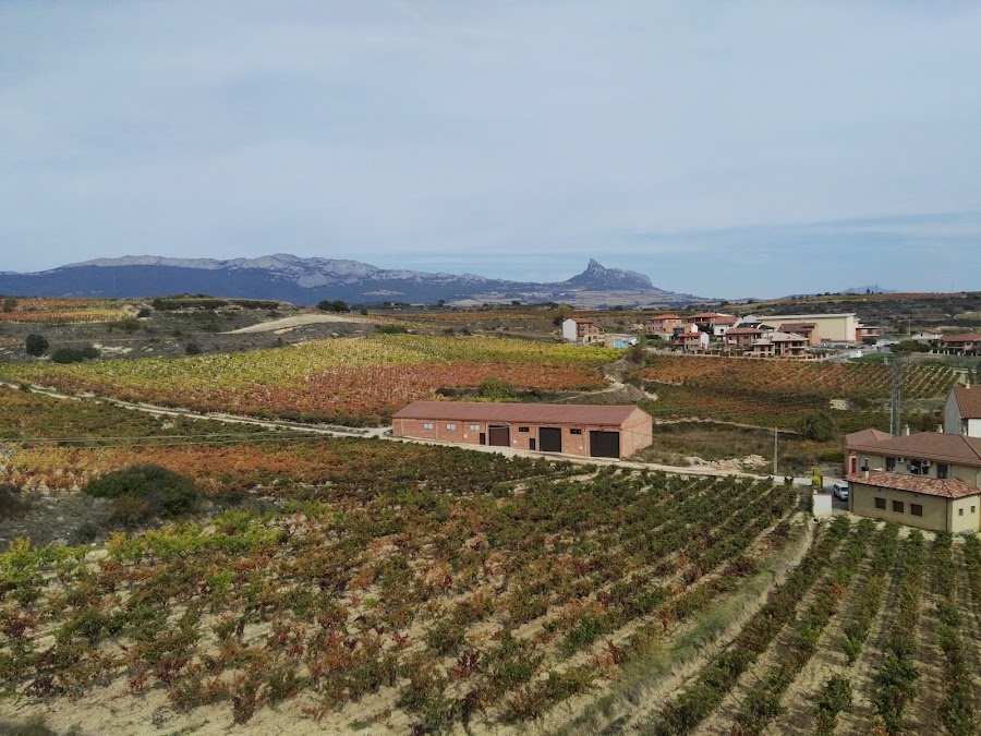 Bodegas D. Luis R.