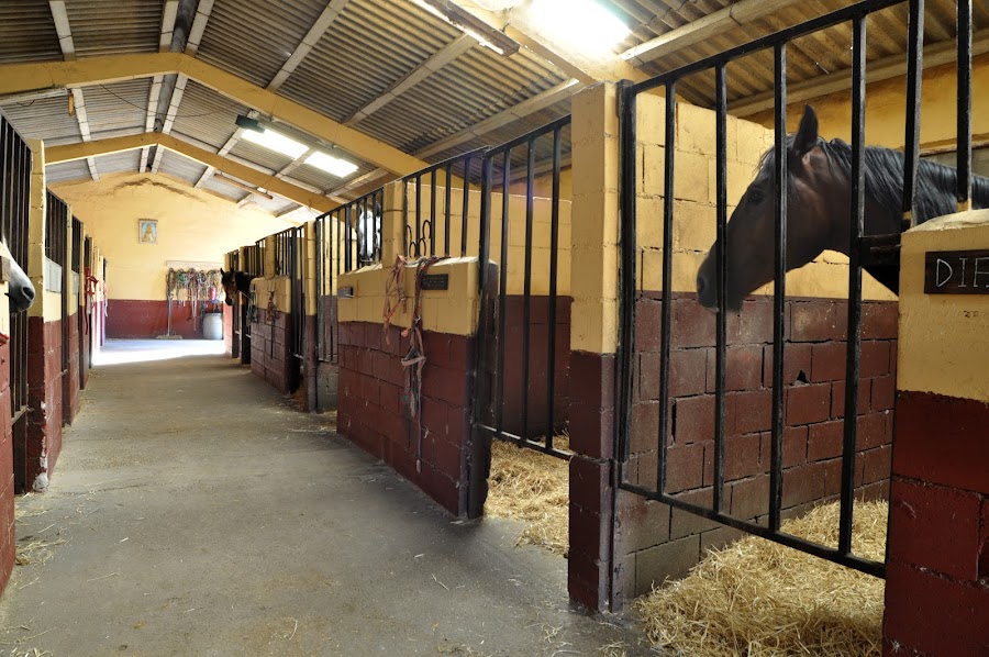 Club Hípico La Hijosa