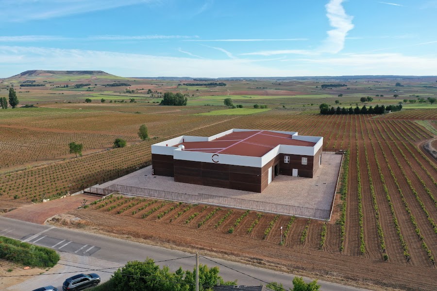 Dominio de Calogía - Ribera del Duero