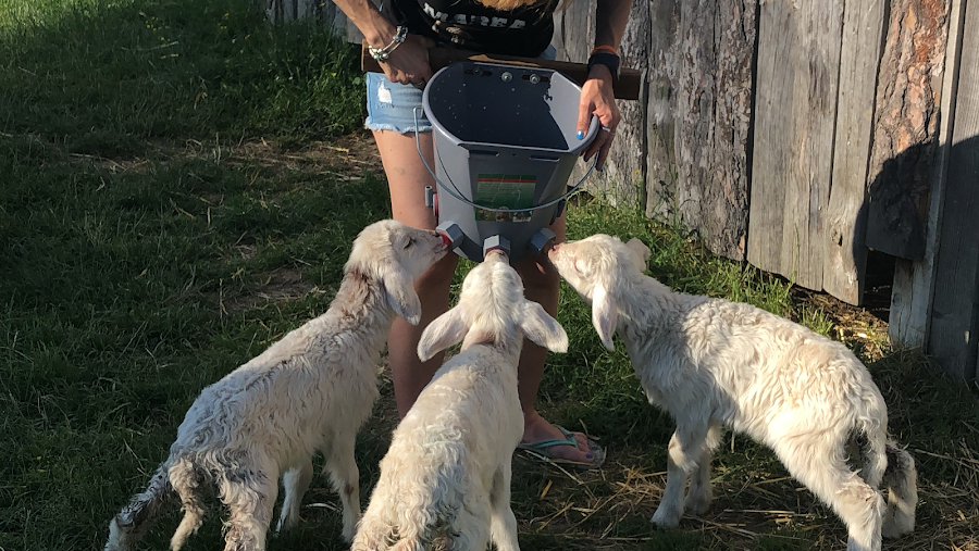 Granja Escuela Ultzama