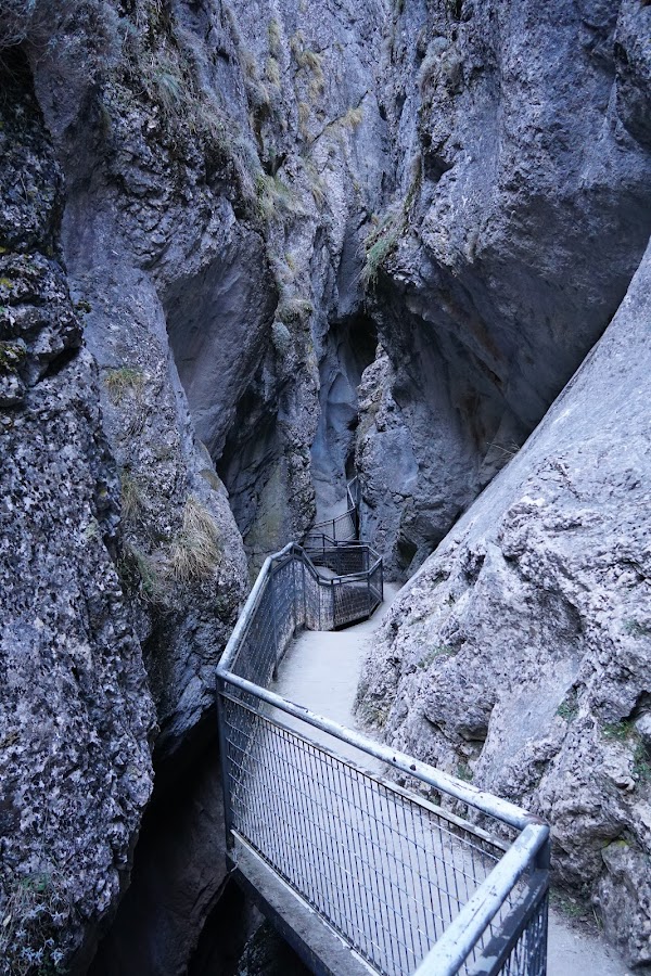 Parque Natural Sabinares del Arlanza - La Yecla