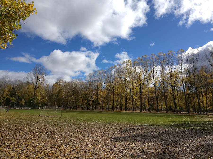 Polideportivo de La Arboleda