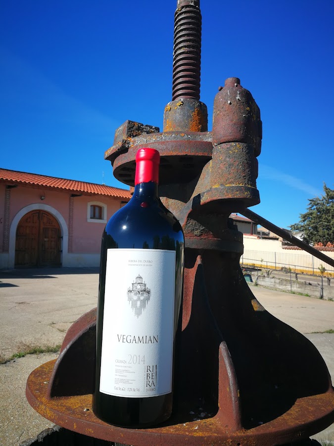 Viña Tuelda, S.L. - Ribera del Duero
