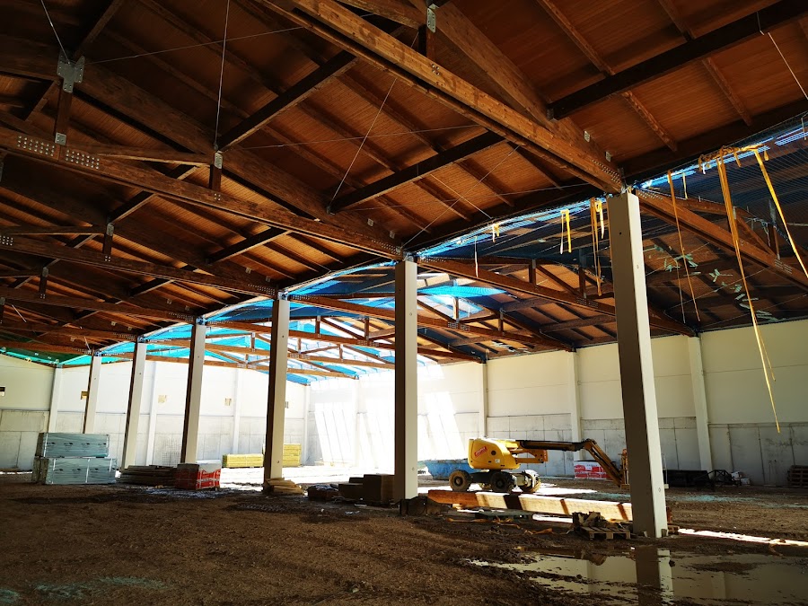 Viñedos de Aldeanueva